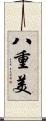 八重美 Scroll