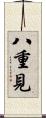 八重見 Scroll