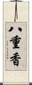 八重香 Scroll