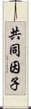 共同因子 Scroll