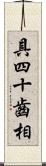 具四十齒相 Scroll
