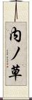 内ノ草 Scroll