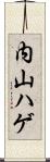 内山ハゲ Scroll