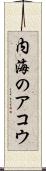 内海のアコウ Scroll