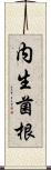 内生菌根 Scroll