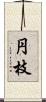 円枝 Scroll