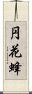 円花蜂 Scroll