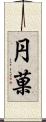 円菓 Scroll