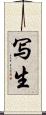 写生 Scroll