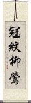 冠紋柳鶯 Scroll