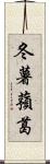 冬薯蕷葛 Scroll
