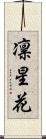 凛星花 Scroll