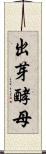 出芽酵母 Scroll