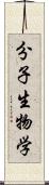 分子生物学 Scroll