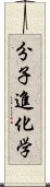 分子進化学 Scroll