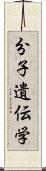 分子遺伝学 Scroll