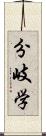 分岐学 Scroll