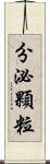 分泌顆粒 Scroll