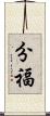 分福 Scroll