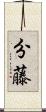 分藤 Scroll