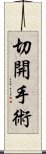 切開手術 Scroll