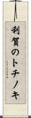 利賀のトチノキ Scroll