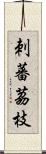 刺蕃茘枝 Scroll