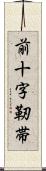 前十字靭帯 Scroll
