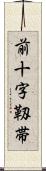 前十字靱帯 Scroll