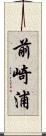 前崎浦 Scroll