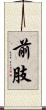 前肢 Scroll