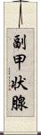 副甲状腺 Scroll