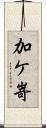 加ケ嵜 Scroll