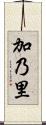 加乃里 Scroll