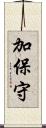 加保守 Scroll