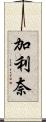 加利奈 Scroll