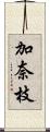 加奈枝 Scroll