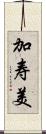 加寿美 Scroll