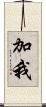 加我 Scroll