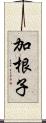 加根子 Scroll