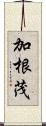 加根茂 Scroll