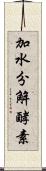 加水分解酵素 Scroll
