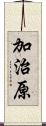 加治原 Scroll