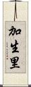 加生里 Scroll