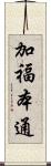 加福本通 Scroll