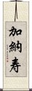 加納寿 Scroll