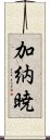 加納暁 Scroll