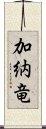 加納竜 Scroll