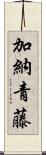 加納青藤 Scroll