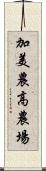 加美農高農場 Scroll